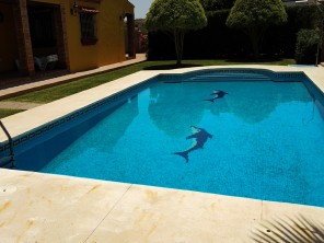 3 Bedroom Countryside Villa with Pool near Estepona, Andalucia, Spain